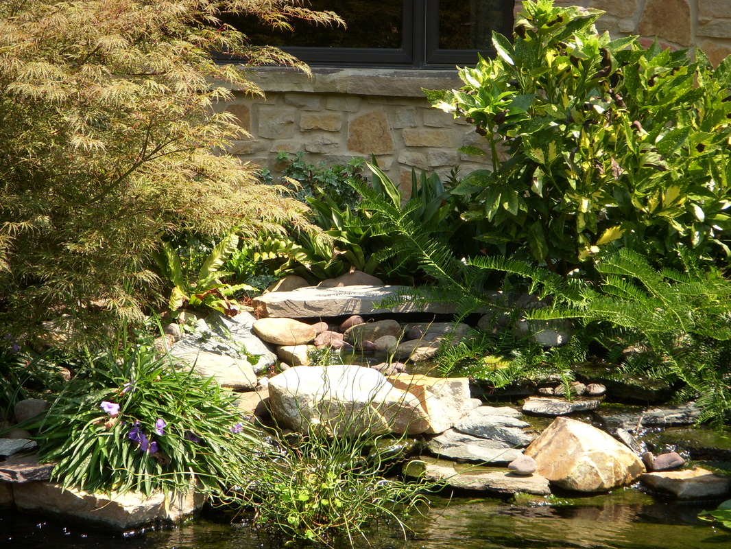Reed,Landscape,Irrigation,Discover,Outdoor,Living,best New Bern landscape contractor,guaranteed,licensed,bonded,insured,Trent Woods,Oriental,Taberna,Greenbrier,River Bend,Carolina Colours,Fairfield Harbour,Craven County,Pamlico County,best landscaper,landscaping,irrigation system,low voltage lighting,quality landscape lighting,drains,drainage,best drainage solutions,retaining walls,patio,paver,concrete paver,brick paver,paver driveway,paver walkway,paver path,natural stone,river rock,water feature,pondless water feature,koi pond,pond,quality Vista Lighting,Belgard,Hunter,Rainbird,garden,perennial,annual,maintenance,meticulous grounds maintenance,landscape maintenance,most popular Eastern North Carolina landscape contractor,pergola,outdoor kitchen,quality,professional,professionalism,best,dedicated,integrity,drainage solutions,french drain,New Bern landscape design,Craven County landscape design,Oriental landscape contractor,finest landscape company in New Bern and Craven County and Pamlico County